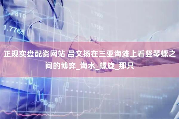 正规实盘配资网站 吕文扬在三亚海滩上看竖琴螺之间的博弈_海水_螺旋_那只